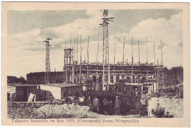 Neque et faucibus viverra