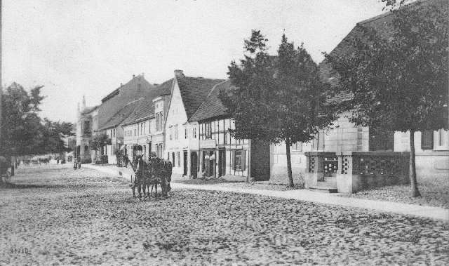 Tempus aliquam veroeros